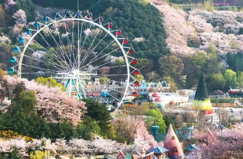 【3鑽】江村+首爾5天親子之旅※江村Elysian度假村X2晚、江村Rail Bike、愛寶樂園Everland、樂天世界+水族館、ZoolungZoolung室內動物園、國立春川博物館+兒童藝術空間 【3鑽】江村+首爾5天親子之旅※江村Elysian度假村X2晚、江村Rail Bike、愛寶樂園Everland、樂天世界+水族館、ZoolungZoolung室內動物園、國立春川博物館+兒童藝術空間