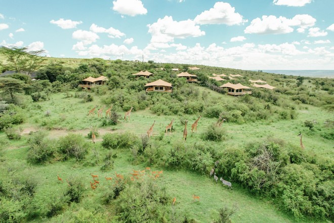 Mara_Bushtops Camp