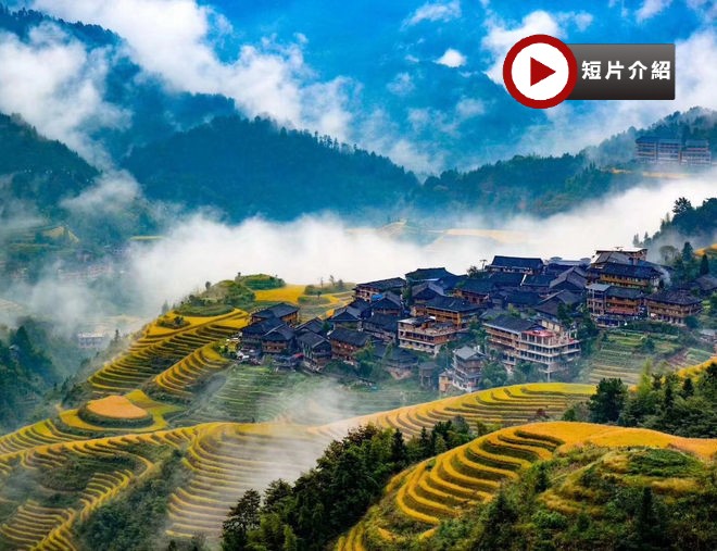 【5鑽】［全新皇牌桂林㊣陽朔、龍脊梯田］西九龍高鐵往返 、乘船漫遊一江四湖、國賓洞蘆笛岩、興坪灕江竹筏、興坪古鎮、龍脊梯田、七星公園、象鼻山、陽朔西街、品嘗喜來登下午茶  升級純玩4天高鐵團