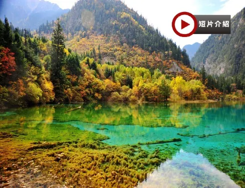 【5鑽】《🍁九寨溝‧黃龍》四川皇牌8天深度之旅 九寨溝(童話世界)、黃龍(瑤池仙境)、峨眉山(金頂)、樂山大佛(遊船)、成都大熊貓繁育研究基地、東方佛都、蘇稽古鎮、漫遊成都City Walk 豪華團 【5鑽】《🍁九寨溝‧黃龍》四川皇牌8天深度之旅 九寨溝(童話世界)、黃龍(瑤池仙境)、峨眉山(金頂)、樂山大佛(遊船)、成都大熊貓繁育研究基地、東方佛都、蘇稽古鎮、漫遊成都City Walk 豪華團