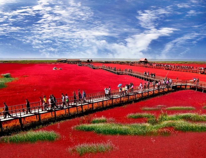 【5鑽】盤錦紅海灘、瀋陽、丹東、大連6天團【尊享《山海承韻‧臻味雅宴》、保證入住萬豪旗下城堡酒店】
季節限定~舉世奇觀紅海灘、本溪水洞、地質博物館、瀋陽故宮、丹東鴨綠江斷橋、登月亮島眺望朝鮮
