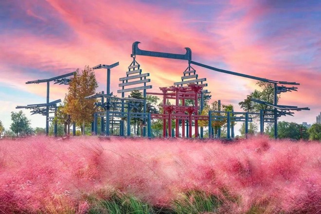 大明宮國家遺址公園粉黛花