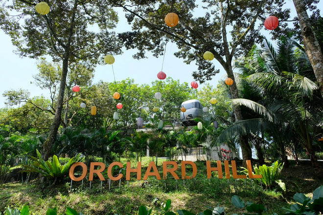 Orchard Hill