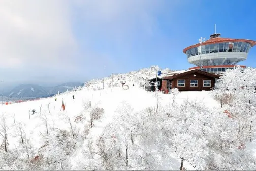 江原道+首爾 冬日滑雪6天之旅 ※連續2晚High1 Resort 江原道+首爾 冬日滑雪6天之旅 ※連續2晚High1 Resort