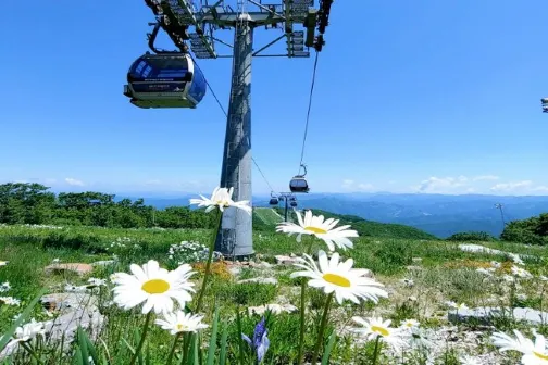【3鑽】旌善+首爾5天周遊之旅 ※High1ResortX2晚+觀光纜車+WaterWorld、旌善RailBike、YPark複合藝術空間、丹陽滿天下SkyWalk、水邊公園、堤川玉筍峰吊橋 【3鑽】旌善+首爾5天周遊之旅 ※High1ResortX2晚+觀光纜車+WaterWorld、旌善RailBike、YPark複合藝術空間、丹陽滿天下SkyWalk、水邊公園、堤川玉筍峰吊橋