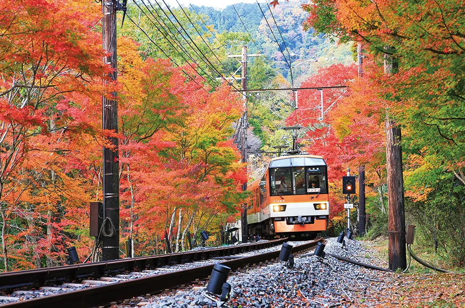 京阪神、和歌山 6天親子樂園之旅 *每位勁減-$1000 憑推廣碼【RA751】* 日本環球影城、海の京都(天橋立、飛龍觀展望台、伊根灣賞景遊)、紀三井寺、「世界文化遺產」平等院 京阪神、和歌山 6天親子樂園之旅 *每位勁減-$1000 憑推廣碼【RA751】* 日本環球影城、海の京都(天橋立、飛龍觀展望台、伊根灣賞景遊)、紀三井寺、「世界文化遺產」平等院
