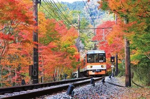 京阪神、和歌山 6天親子樂園之旅 *憑推廣碼【DA614】每位勁減-$1000* 日本環球影城、海の京都(天橋立、飛龍觀展望台、伊根灣賞景遊)、紀三井寺、「世界文化遺產」平等院 京阪神、和歌山 6天親子樂園之旅 *憑推廣碼【DA614】每位勁減-$1000* 日本環球影城、海の京都(天橋立、飛龍觀展望台、伊根灣賞景遊)、紀三井寺、「世界文化遺產」平等院