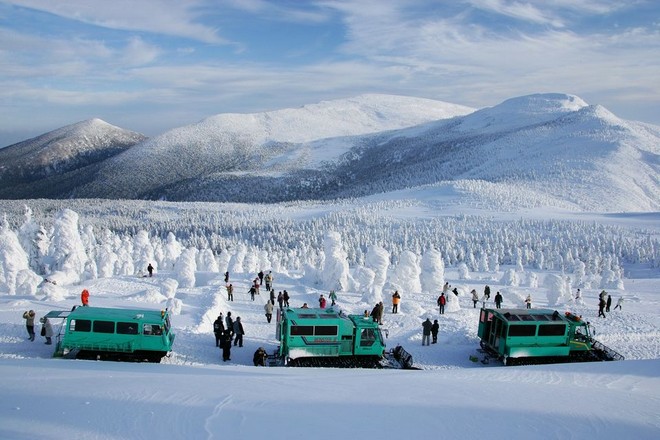 Wild Monster雪怪車