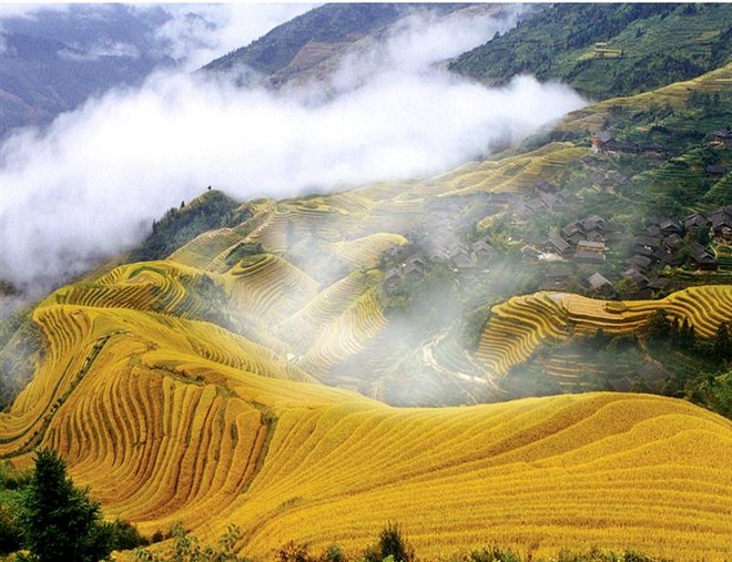 【5鑽】🍂金秋桂林‧桂林龍脊升級純玩4天高鐵團 龍脊梯田、乘船漫遊一江四湖、堯山景區、象鼻山、桂海晴嵐、黃洛紅瑤長髮村表演、逍遙樓、東西巷