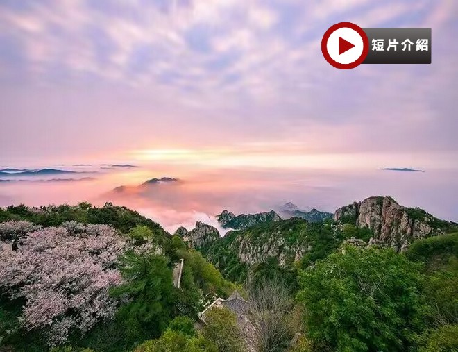 【5鑽】【皇牌】山東5天升純團  青島(八大關、青島啤酒博物館)、泰安(五嶽之首~泰山、觀看《中華泰山˙封禪大典》大型山水實景演出)、濟南(大明湖、黑虎泉)、濰坊(楊家埠民間藝術大觀園)
