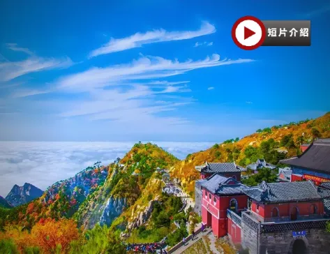 【5鑽】【國泰航空】【皇牌】山東5天升純團 青島(八大關、青島啤酒博物館)、泰安(五嶽之首~泰山、觀看《中華泰山˙封禪大典》大型山水實景演出)、濟南(大明湖、黑虎泉)、濰坊(楊家埠民間藝術大觀園) 【5鑽】【國泰航空】【皇牌】山東5天升純團 青島(八大關、青島啤酒博物館)、泰安(五嶽之首~泰山、觀看《中華泰山˙封禪大典》大型山水實景演出)、濟南(大明湖、黑虎泉)、濰坊(楊家埠民間藝術大觀園)