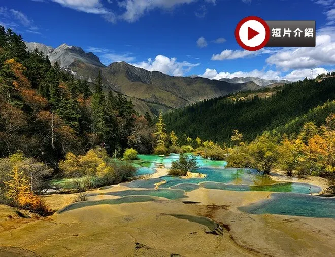 【5鑽】《🍁九寨溝˙黃龍皇牌6天團》邂逅人間仙境~九寨溝(獨立環保車)(3晚《獨家》九寨天堂洲際)、黃龍(瑤池仙境)、成都大熊貓繁育研究基地(觀賞國寶熊貓)、錦里、寬窄巷子、1晚成都市中心瑞吉酒店 【5鑽】《🍁九寨溝˙黃龍皇牌6天團》邂逅人間仙境~九寨溝(獨立環保車)(3晚《獨家》九寨天堂洲際)、黃龍(瑤池仙境)、成都大熊貓繁育研究基地(觀賞國寶熊貓)、錦里、寬窄巷子、1晚成都市中心瑞吉酒店