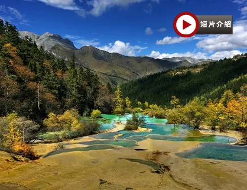 【5鑽】《九寨溝˙黃龍皇牌6天團》邂逅人間仙境~九寨溝(獨立環保車)(3晚《獨家》九寨天堂洲際)、黃龍(瑤池仙境)、成都大熊貓繁育研究基地(觀賞國寶熊貓)、錦里、寬窄巷子、1晚成都市中心瑞吉酒店 【5鑽】《九寨溝˙黃龍皇牌6天團》邂逅人間仙境~九寨溝(獨立環保車)(3晚《獨家》九寨天堂洲際)、黃龍(瑤池仙境)、成都大熊貓繁育研究基地(觀賞國寶熊貓)、錦里、寬窄巷子、1晚成都市中心瑞吉酒店