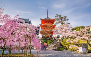 JR Kansai-Hokuriku Area Pass (7-day e-ticket)