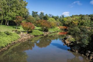 JR PASS Kagawa Mini Rail & Ferry Pass 2-Day (e-ticket)