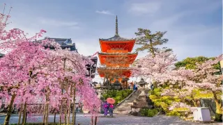 JR Hokuriku Area Pass 4-Day (e-ticket)