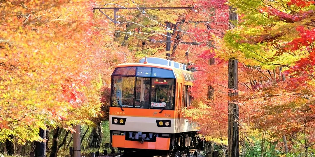 Kyoto Eizan Railway One-Day Pass Ee Kippu