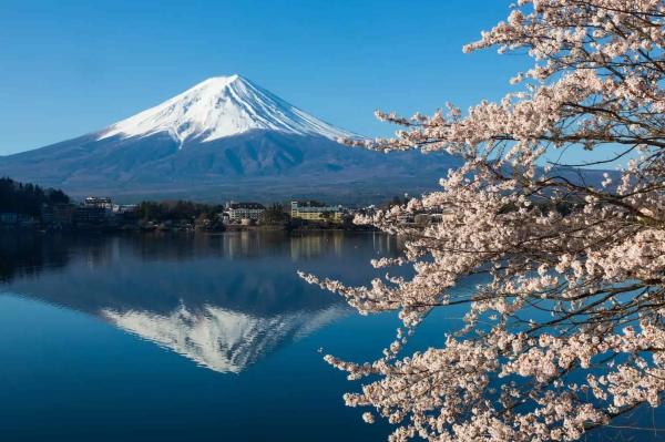 Biglietto autobus espresso diretto di sola andata: da Tokyo a Kawaguchiko