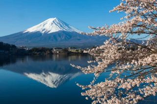 Direct one-way express coach ticket: Tokyo to Kawaguchiko