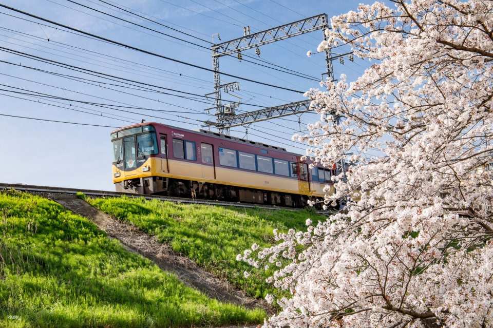 Pass turistico da un giorno Keihan Railway per Kyoto e Osaka