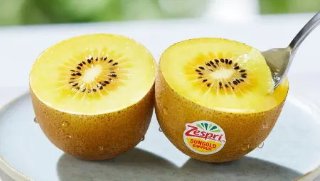 【紐西蘭直送】Zespri 珍寶金奇異果 (6個散裝 210g/個) / (原箱約3.5kg,18-22個)