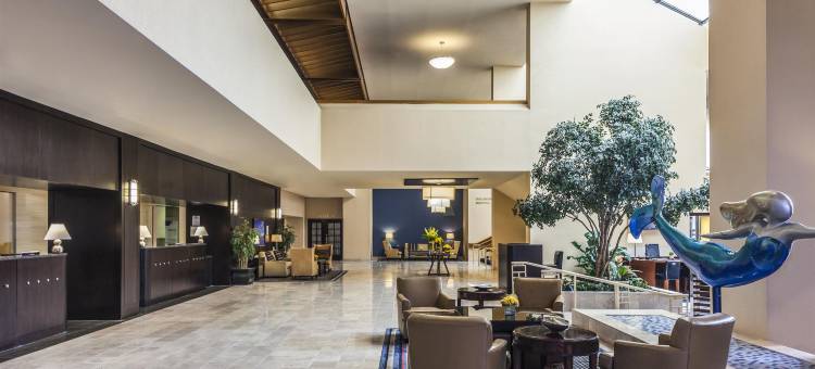 诺福克海湾喜来登酒店(Sheraton Norfolk Waterside Hotel)图片