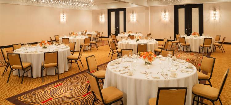 布卢明顿喜来登酒店(Sheraton Bloomington Hotel)图片