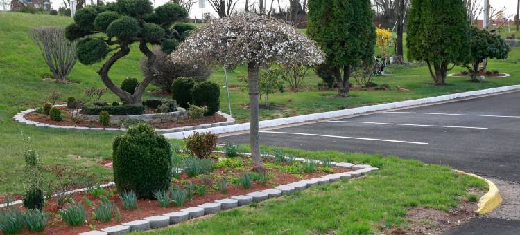 Motel 6 卡尔佩珀, 弗吉尼亚州(Motel 6 Culpeper, VA)图片