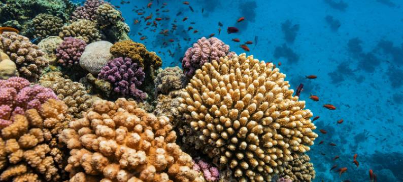 瀑布高尔夫度假村-水疗及海水浴(The Cascades Golf Resort, Spa & Thalasso)图片