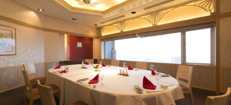 新大阪华盛顿广场酒店(Shin Osaka Washington Hotel Plaza)图片