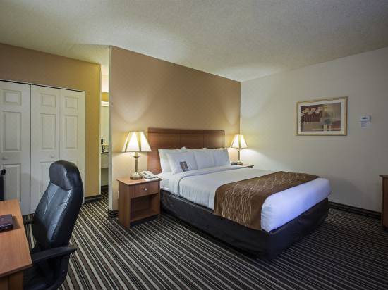Comfort Suites At Sabino Canyon Hotel Reviews And Room Rates