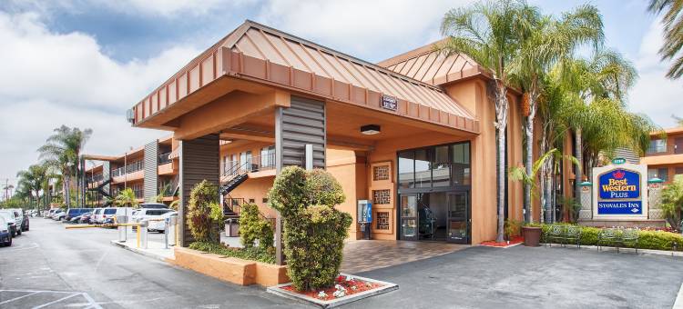 斯托瓦尔贝斯特韦斯特优质酒店(Best Western Plus Stovall's Inn)图片