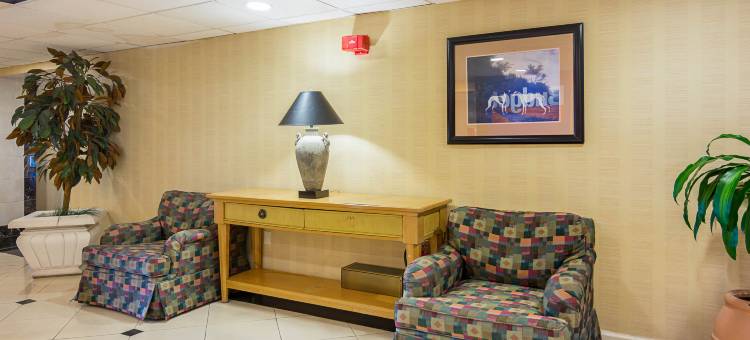 舒适酒店(Comfort Inn)图片