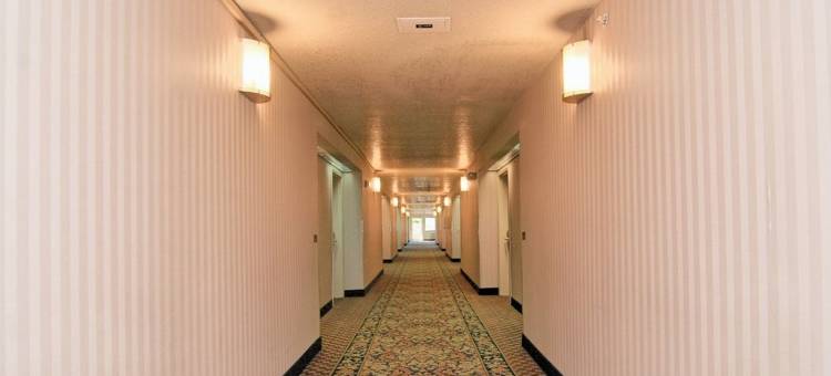 圣马科斯贝斯特韦斯特酒店(Best Western San Marcos)图片