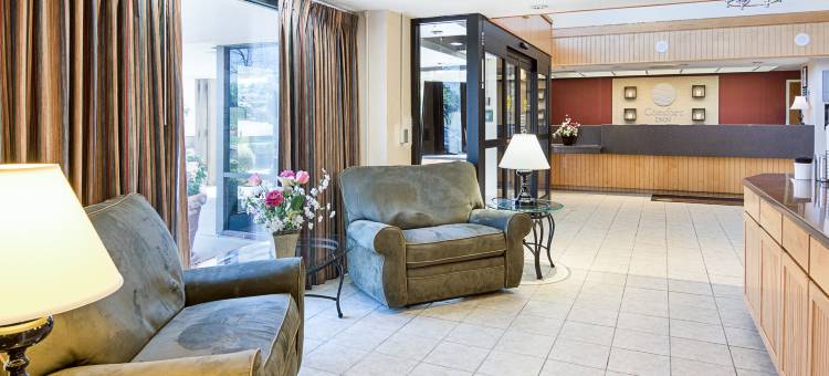 里士满南切斯特舒适酒店(Comfort Inn Chester - Richmond South)图片