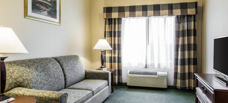 舒适酒店-斯普林菲尔德东温莎市(Comfort Inn East Windsor - Springfield)图片