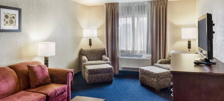 阿尔伯特利舒适酒店(位于步道旅行中心)(Comfort Inn Albert Lea at Trails Travel Center)图片