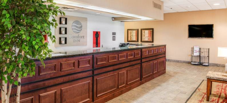 普利茅斯-明尼阿波利斯舒适酒店(Comfort Inn Plymouth-Minneapolis)图片