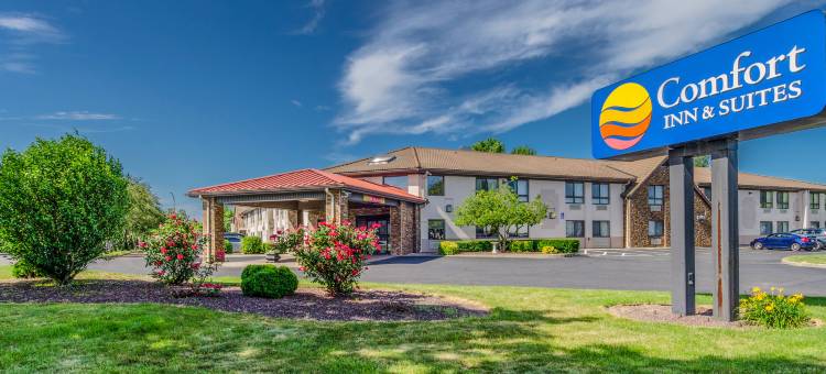 舒适套房酒店(Comfort Inn & Suites)图片