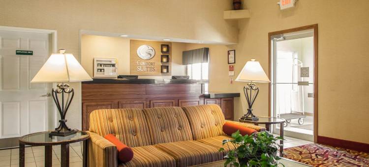 大学区舒适套房标准酒店(Comfort Suites Normal University Area)图片