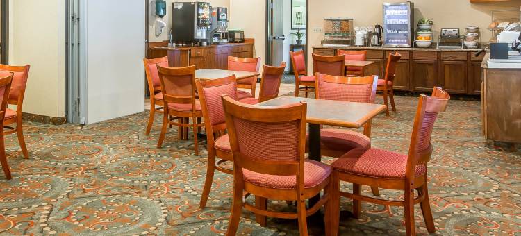 奥马哈东-康瑟尔崖舒适套房酒店(Comfort Suites Omaha East-Council Bluffs)图片