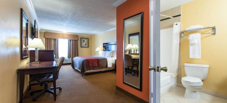 洛杉矶贝尔花园品质酒店及套房(Quality Inn & Suites Bell Gardens-Los Angeles)图片