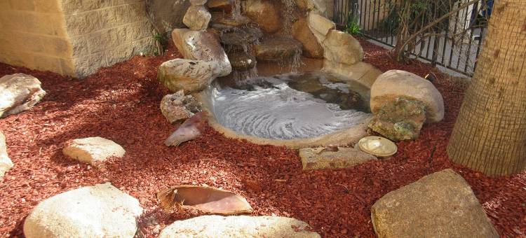 Spark by Hilton Glendale Phoenix North图片