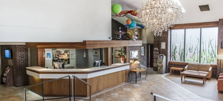 加蒂诺品质套房会议酒店(Quality Inn & Suites)图片