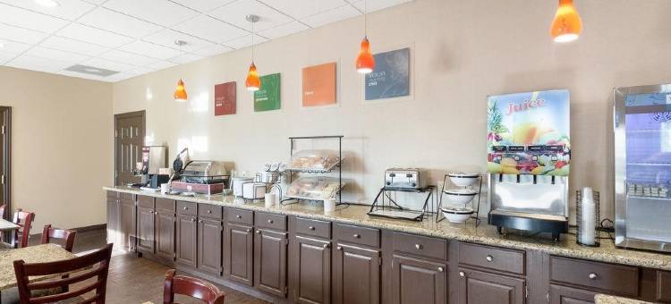 费耶特维尔大学区舒适套房酒店(Comfort Inn & Suites Fayetteville-University Area)图片