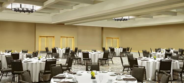 惠斯勒威斯汀水疗度假村(The Westin Resort & Spa, Whistler)图片