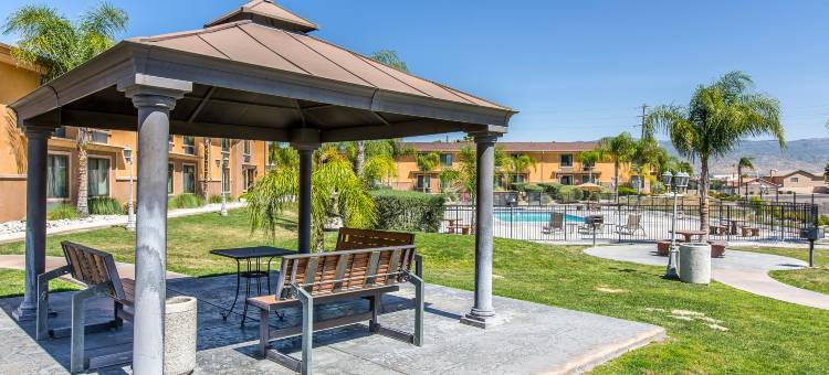 科尔顿舒适套房酒店(Comfort Inn & Suites)图片