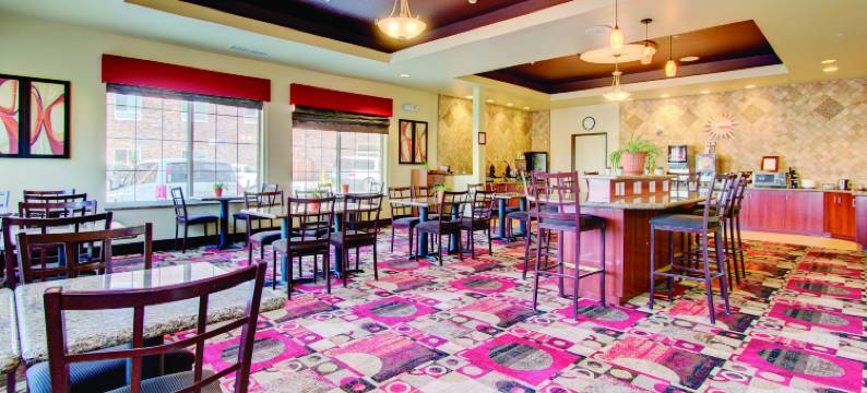 丹佛盖特威公园拉昆塔温德姆套房酒店(La Quinta Inn & Suites by Wyndham Denver Gateway Park)图片