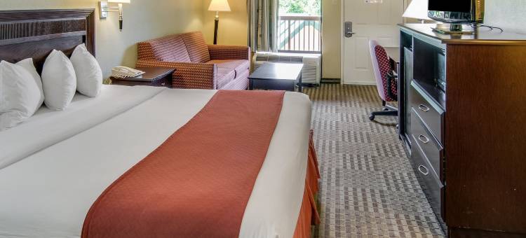 芒特普莱森特凯艺酒店(Quality Inn Mt. Pleasant)图片