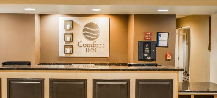 机场特佛维路舒适酒店(Comfort Inn Airport Turfway Road)图片